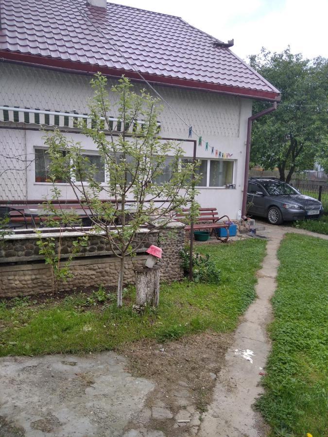 Casuta Bunicilor Βίλα Dorna Cindrenilor Εξωτερικό φωτογραφία