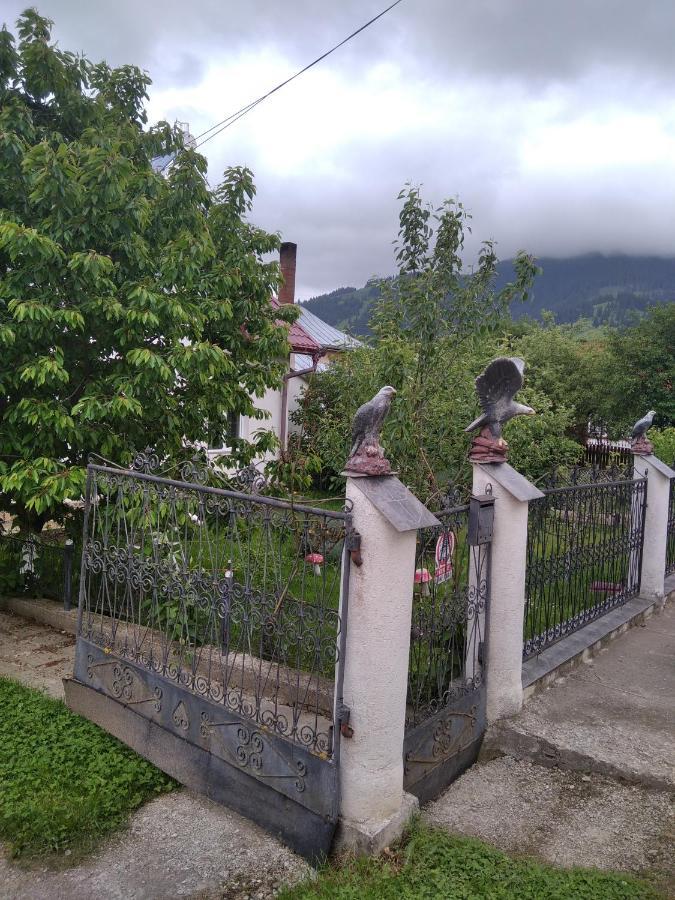 Casuta Bunicilor Βίλα Dorna Cindrenilor Εξωτερικό φωτογραφία