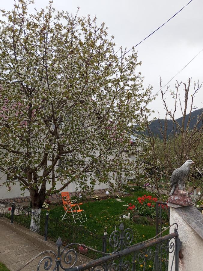 Casuta Bunicilor Βίλα Dorna Cindrenilor Εξωτερικό φωτογραφία