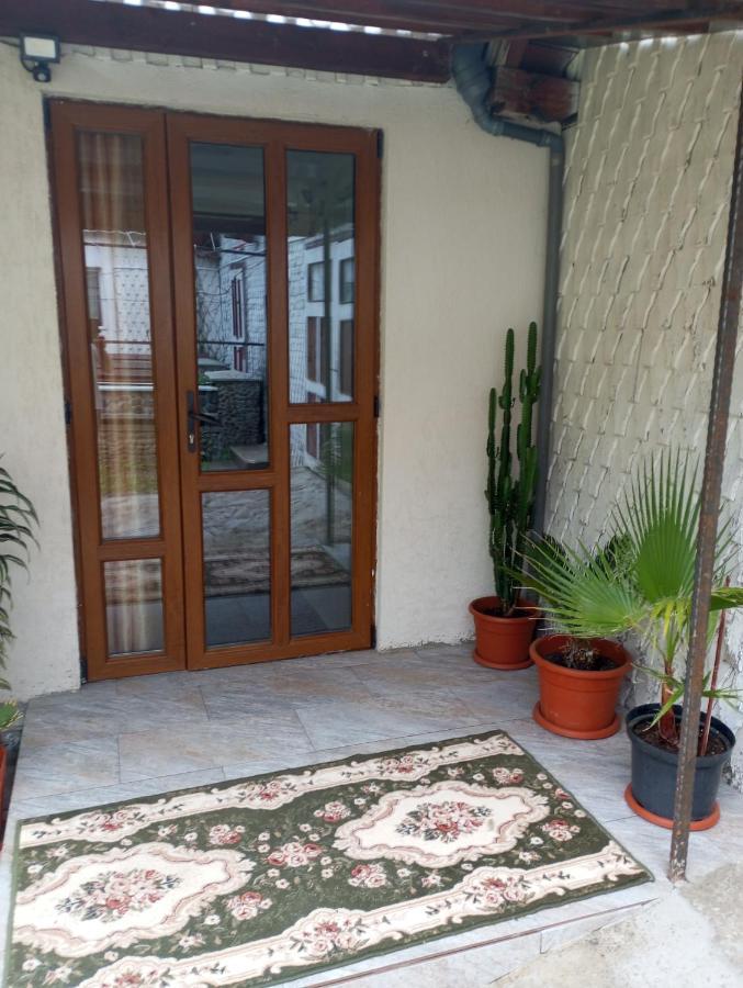 Casuta Bunicilor Βίλα Dorna Cindrenilor Εξωτερικό φωτογραφία