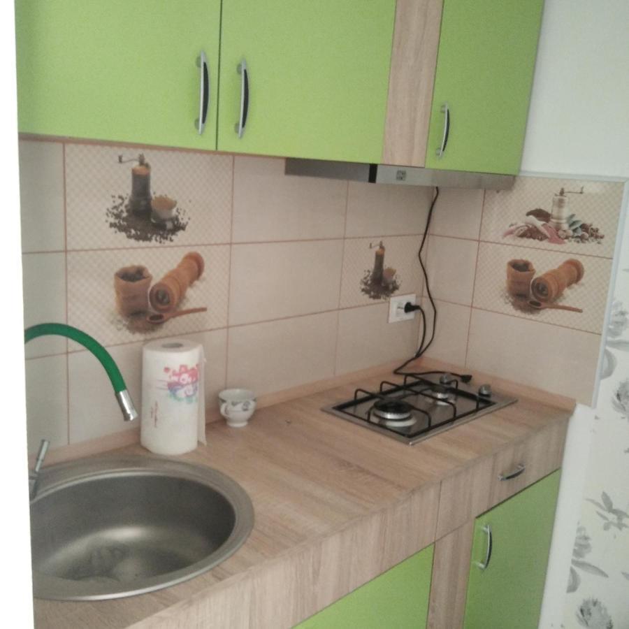 Casuta Bunicilor Βίλα Dorna Cindrenilor Εξωτερικό φωτογραφία