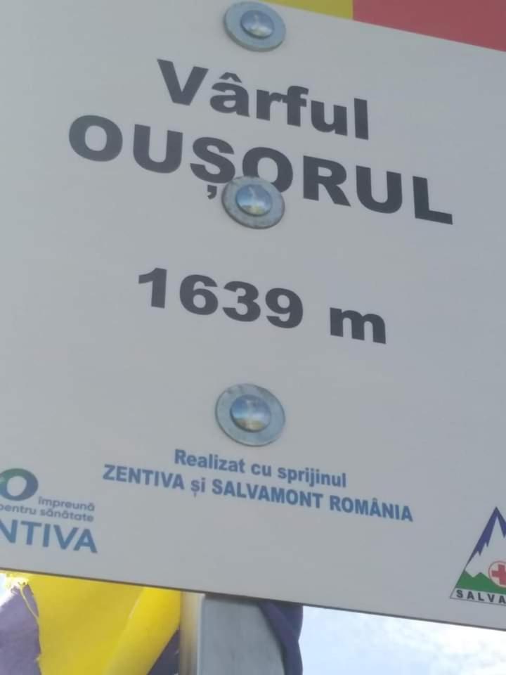 Casuta Bunicilor Βίλα Dorna Cindrenilor Εξωτερικό φωτογραφία