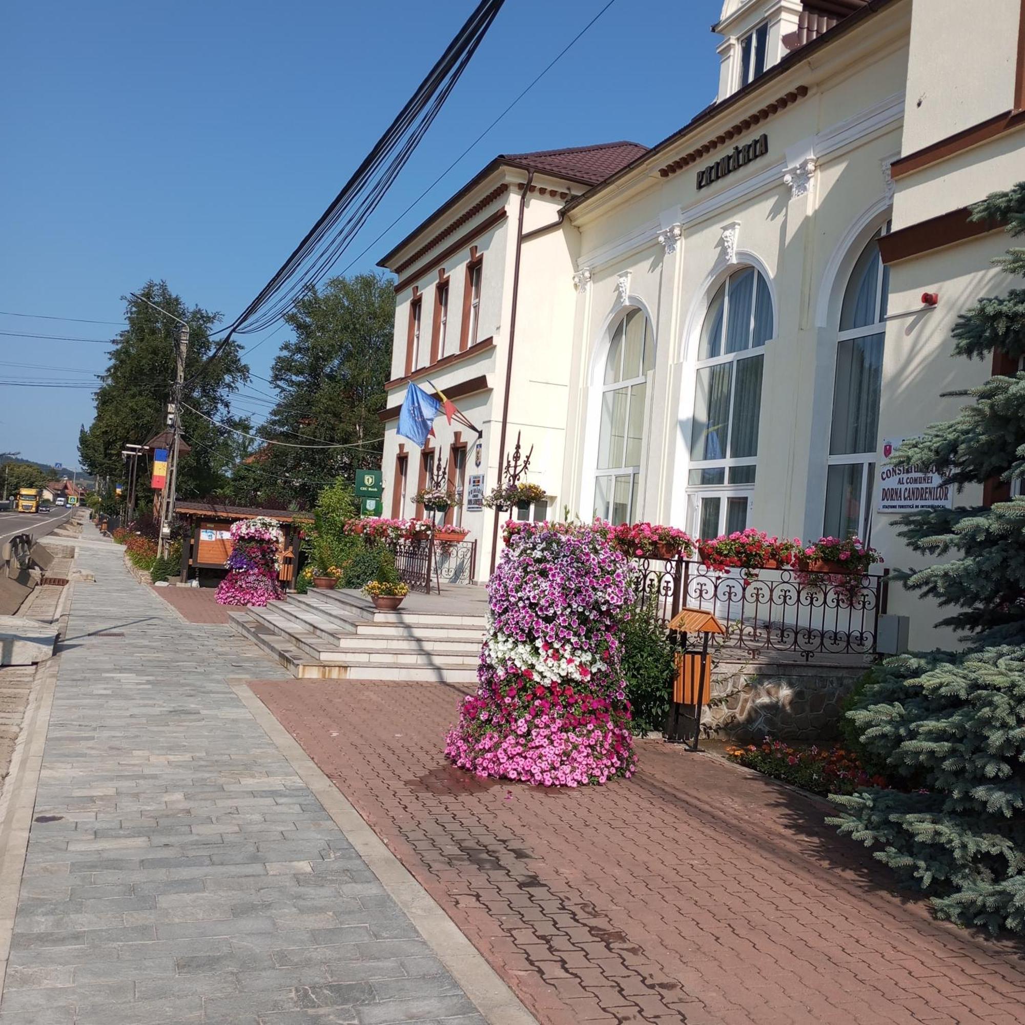 Casuta Bunicilor Βίλα Dorna Cindrenilor Εξωτερικό φωτογραφία